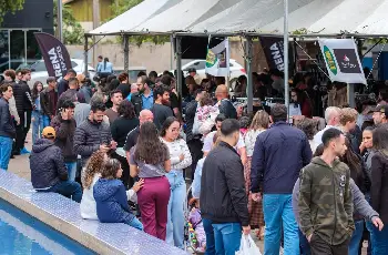 Galeria de Imagem