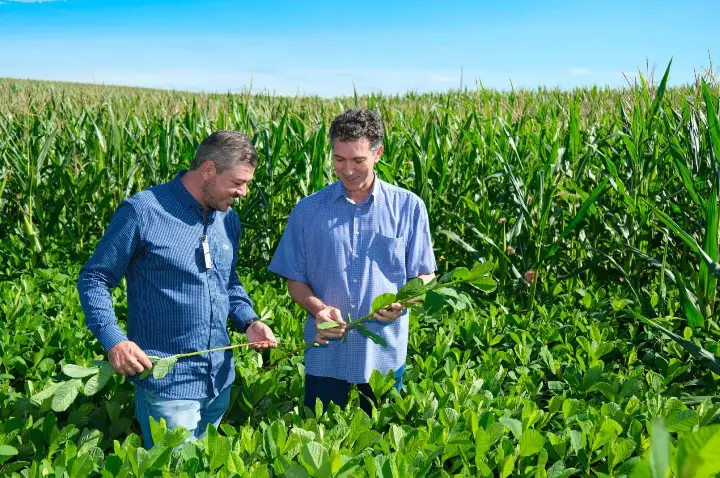 Agricultura com muito mais precisão