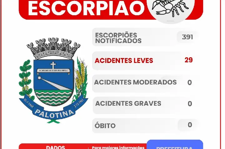 Boletim atualizado aponta 391 escorpiões notificados em Palotina em 2026