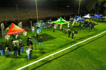 Galeria de Imagem