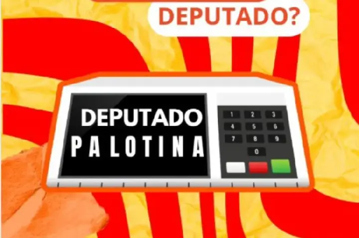 Enquete da Cultura FM debate representatividade política