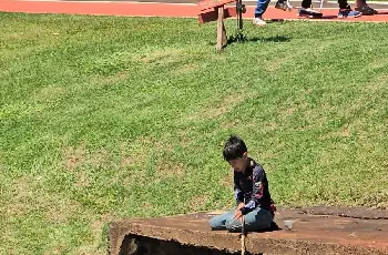 Galeria de Imagem