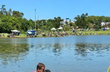 Galeria de Imagem