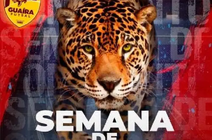 Palotina Futsal entra em quadra neste sábado (02/08)