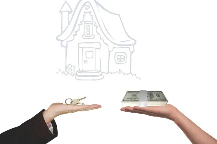 Por que Palotina virou destino de quem busca qualidade de vida e o que isso fez com o setor imobiliário local