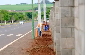 Galeria de Imagem