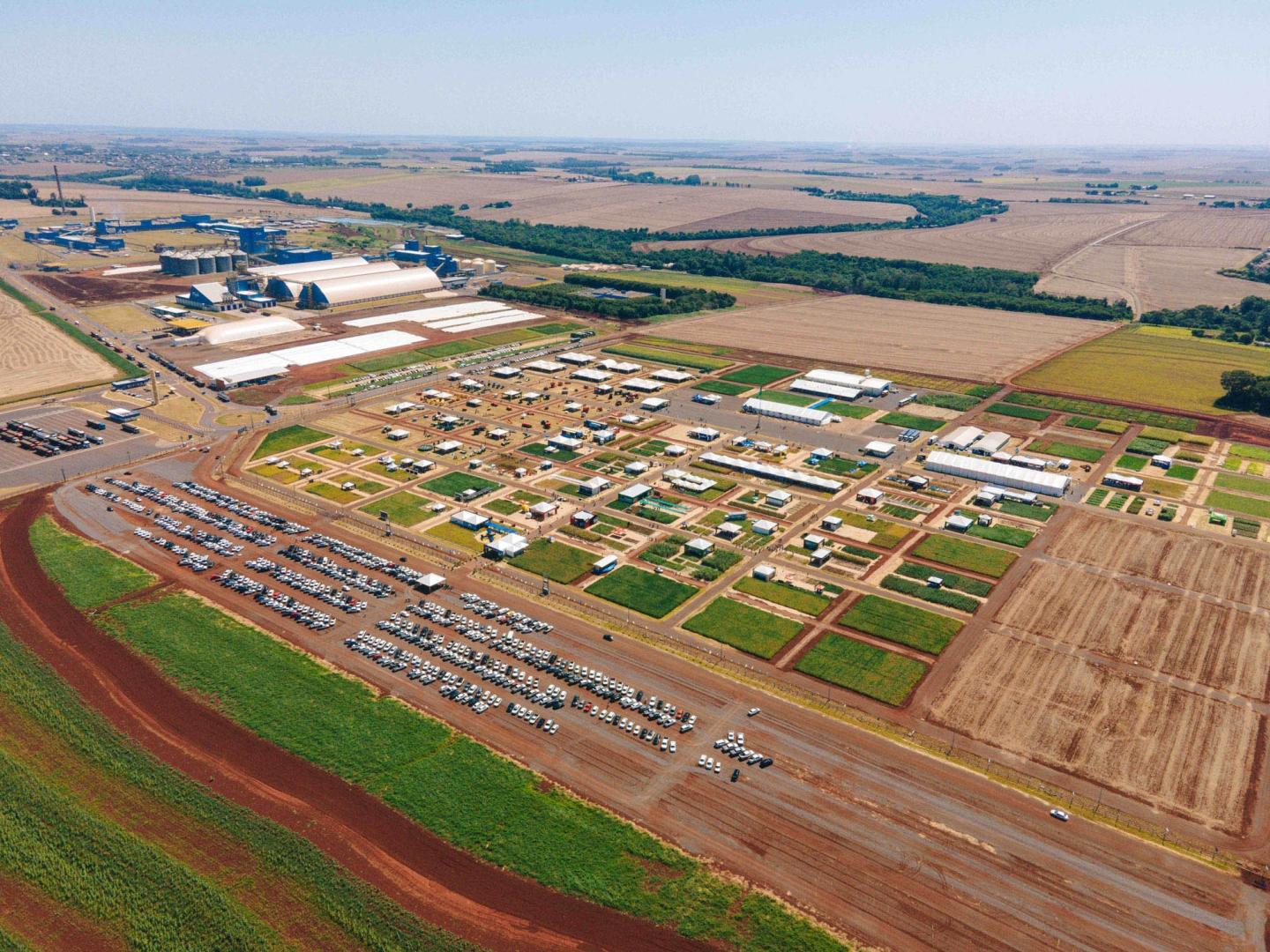 Dia de campo muda e agora é de primavera