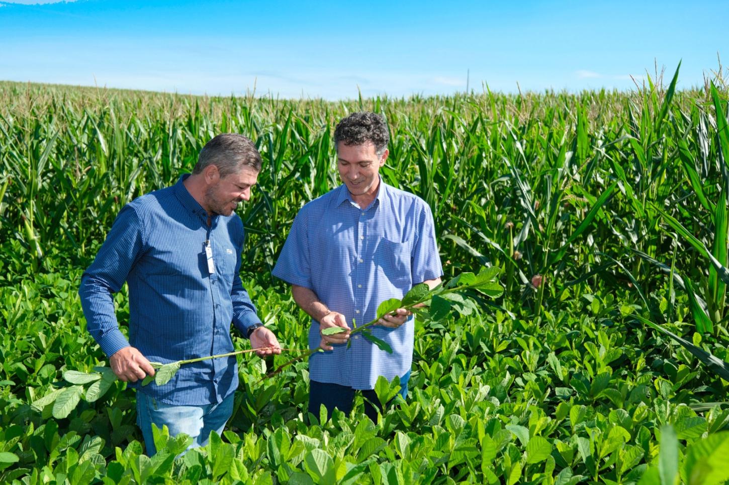 Agricultura com muito mais precisão