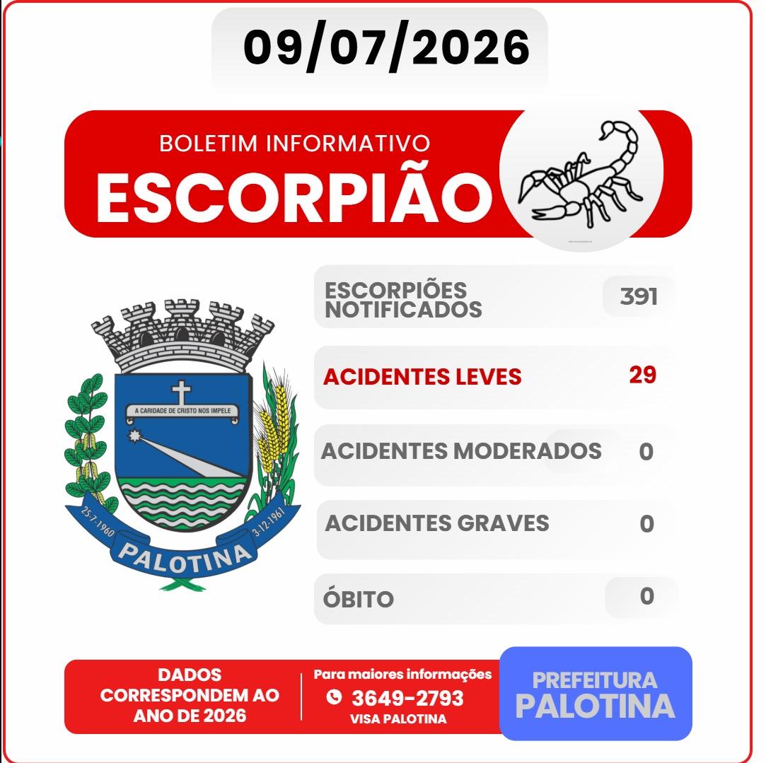Boletim atualizado aponta 391 escorpiões notificados em Palotina em 2026